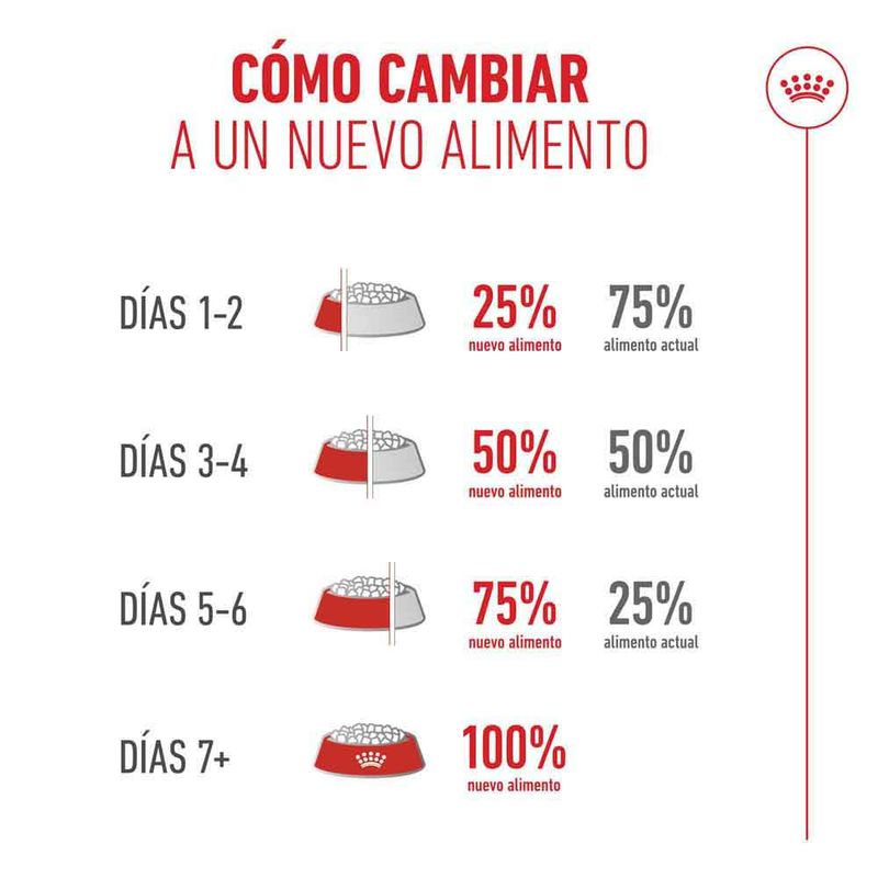 Royal Canin Ageing 11+