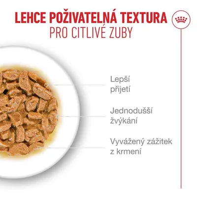 Royal Canin Ageing 11+ v omáčce