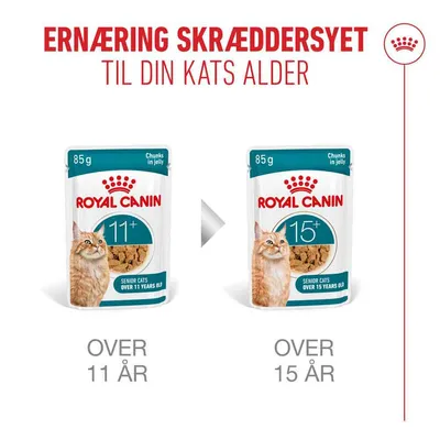 Royal Canin Ageing 11+ i gelé