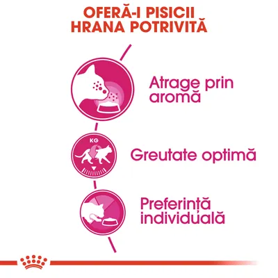 Oferă-i pisicii hrana potrivită. Afișate beneficii: atrage prin aromă, greutate optimă, preferință individuală.