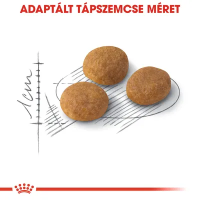 Adaptált tápszemcse méret. Három kerek tápdarab, háttérben 1 cm-es méretjelölés grafikus ábrán.