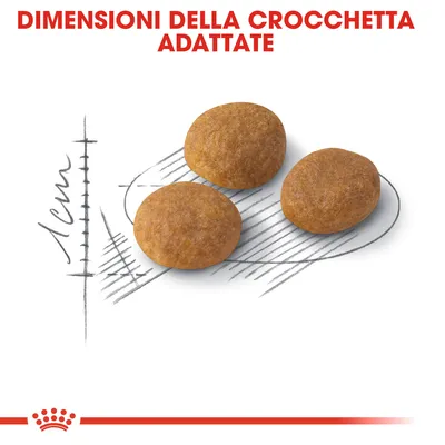 Tre crocchette rotonde con dimensioni indicate su disegno tecnico, testo visibile: 'Dimensioni della crocchetta adattate', scala mostra 1 cm.