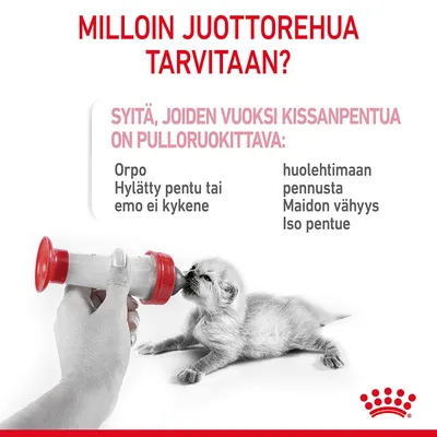 Teksti: Milloin juottorehua tarvitaan? Syyitä, joiden vuoksi kissanpentua on pulloruokittava: orpo, hylätty pentu tai emo ei kykene huolehtimaan pennusta, maidon vähyys, iso pentue. Kuvassa pentu juo tuttipullosta.