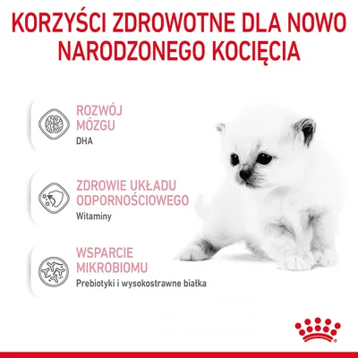 Korzyści zdrowotne dla nowo narodzonego kocięcia: rozwój mózgu (DHA), zdrowie układu odpornościowego (witaminy), wsparcie mikrobiomu (prebiotyki i wysokostrawne białka).