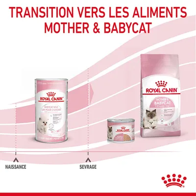 Transition vers les aliments Mother & Babycat Royal Canin : lait pour chatons à la naissance, pâtée et croquettes Mother & Babycat après sevrage. Texte visible : naissance, sevrage.