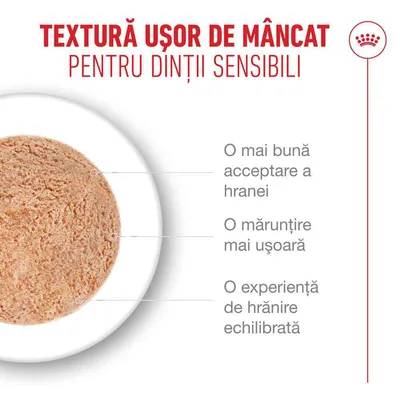 Royal Canin Ageing 11+ Mousse