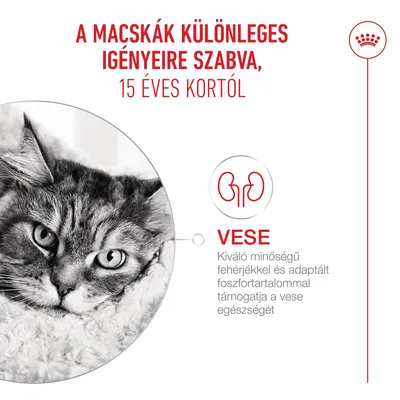 Royal Canin Ageing 15+ Mousse