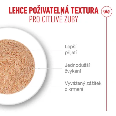 Royal Canin Ageing 15+ Mousse