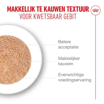 Royal Canin Ageing 15+ Mousse