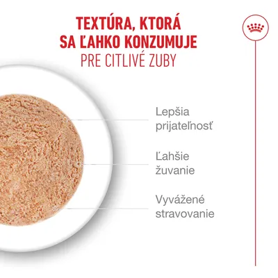 Royal Canin Ageing 15+ Mousse Royal Canin Ageing 15+ Mousse