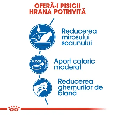 Oferă-i pisicii hrana potrivită. Reducerea mirosului scaunului, aport caloric moderat, reducerea ghemurilor de blană. Text și pictograme albastre pe fundal alb.