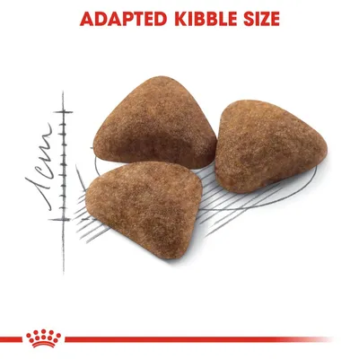 Three triangular kibbles shown with a 1 cm scale and the text 'ADAPTED KIBBLE SIZE' above. No brand name visible.