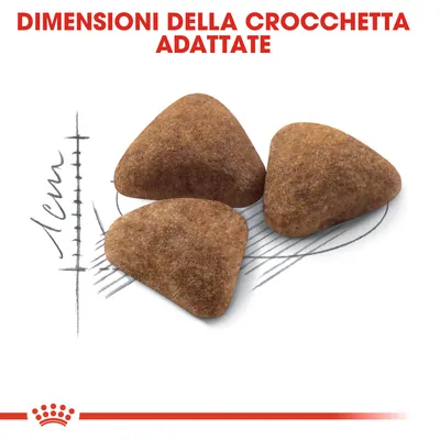 Tre crocchette triangolari con testo: 'Dimensioni della crocchetta adattate' e scala che indica circa 1 cm.