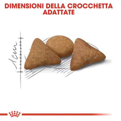 Dimensioni della crocchetta adattate, tre crocchette di forme diverse con riferimento a scala di 1 cm visibile nell'immagine.