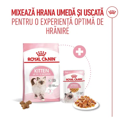 Royal Canin Kitten până la 12 luni hrană uscată și hrană umedă, Notă: combinație pentru o experiență optimă de hrănire. Ambalajele și bolul pentru hrană sunt ilustrate. Royal Canin Kitten până la 12 luni hrană uscată și hrană umedă, Notă: combinație pentru o experiență optimă de hrănire. Ambalajele și bolul pentru hrană sunt ilustrate.