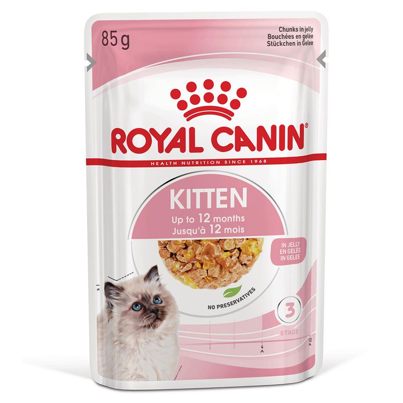 Royal Canin Kitten em gelatina