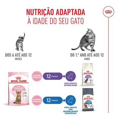 Royal Canin Kitten Sterilised