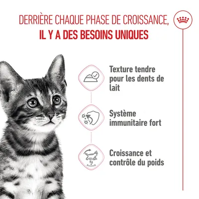 Graphique avec les textes : Texture tendre pour les dents de lait, Système immunitaire fort, Croissance et contrôle du poids. Titre : Il y a des besoins uniques. Graphique avec les textes : Texture tendre pour les dents de lait, Système immunitaire fort, Croissance et contrôle du poids. Titre : Il y a des besoins uniques.