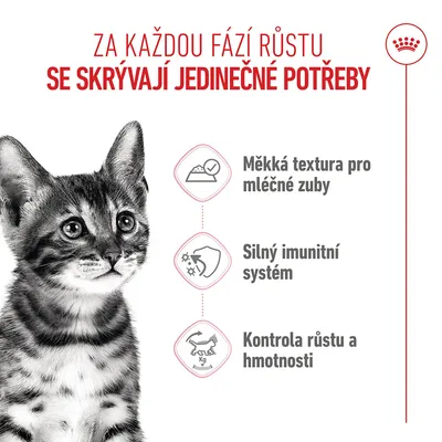 Grafika s kočkou a třemi body: Měkká textura pro mléčné zuby, silný imunitní systém, kontrola růstu a hmotnosti. Text v češtině. Grafika s kočkou a třemi body: Měkká textura pro mléčné zuby, silný imunitní systém, kontrola růstu a hmotnosti. Text v češtině.