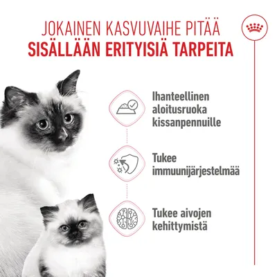 Royal Canin Mother & Babycat Ultra Soft Mousse