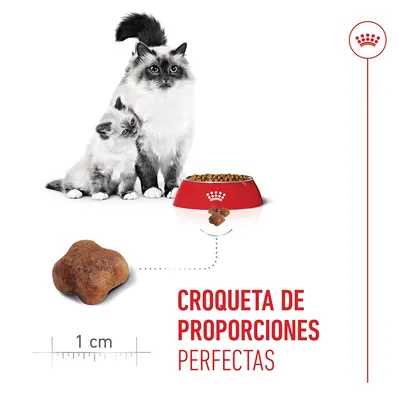 Royal Canin Mother & Babycat Royal Canin Mother & Babycat