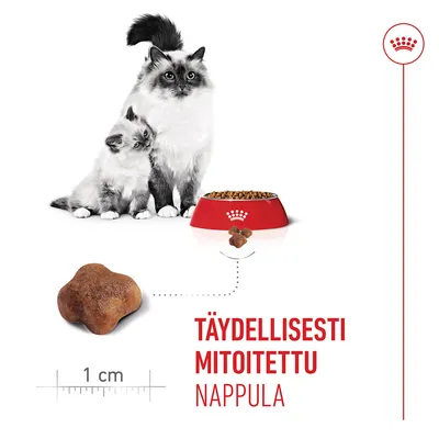 Kroketin muoto ja koko mittakaavalla 1 cm, punainen ruokakuppi, jossa on nappuloita, kaksi kissaa. Teksti: "TÄYDELLISESTI MITOITETTU NAPPULA".