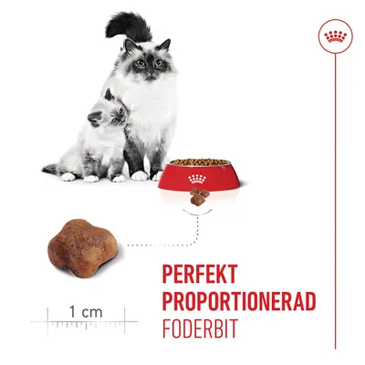 Royal Canin Mother & Babycat