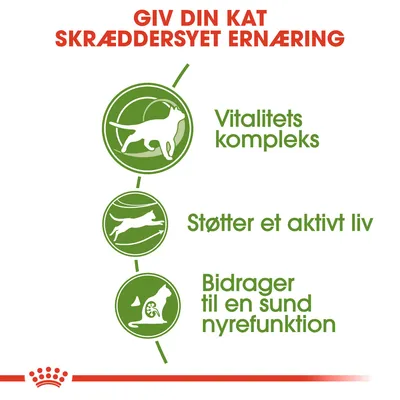 Giv din kat skræddersyet ernæring. Vitalitetskompleks. Støtter et aktivt liv. Bidrager til en sund nyrefunktion.