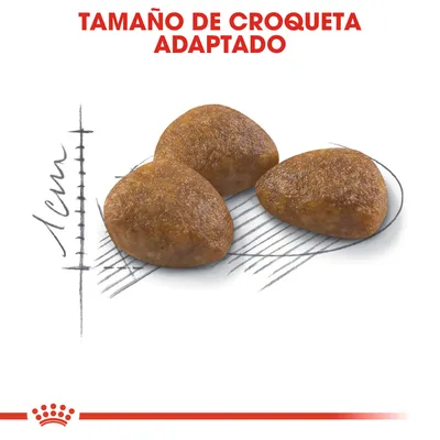 Tres croquetas triangulares sobre fondo con escala de 1 cm y texto: TAMAÑO DE CROQUETA ADAPTADO.