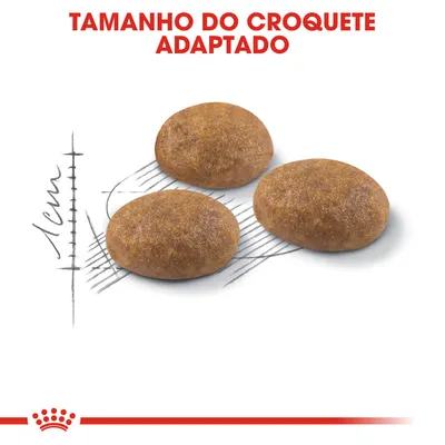 Três croquetes de ração com texto 'Tamanho do croquete adaptado' e escala desenhada a indicar 1 cm de diâmetro. Três croquetes de ração com texto 'Tamanho do croquete adaptado' e escala desenhada a indicar 1 cm de diâmetro.