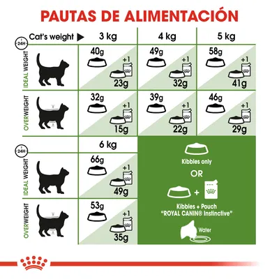 Tabla de pautas de alimentación para gatos según peso y condición: 3, 4, 5, 6 kg; cantidades diarias en gramos para peso ideal o sobrepeso, con opción de croquetas solas o combinadas con sobre.