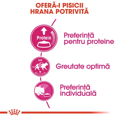 OFERĂ-I PISICII HRANA POTRIVITĂ. Preferință pentru proteine, Greutate optimă, Preferință individuală. Text și pictograme despre alegerea hranei pentru pisici.