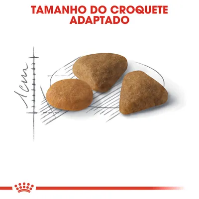 Tamanho do croquete adaptado. Três croquetes de ração com régua ao lado a indicar 1 cm.