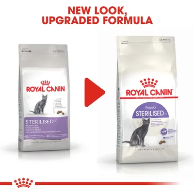 Royal Canin Sterilised 37 cat food packaging, old and new designs side by side with red arrow. Text: New look, upgraded formula. Both packs show a grey cat and purple label.