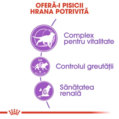 OFERĂ-I PISICII HRANA POTRIVITĂ. Complex pentru vitalitate, Controlul greutății, Sănătatea renală. Text și pictograme mov cu pisici.