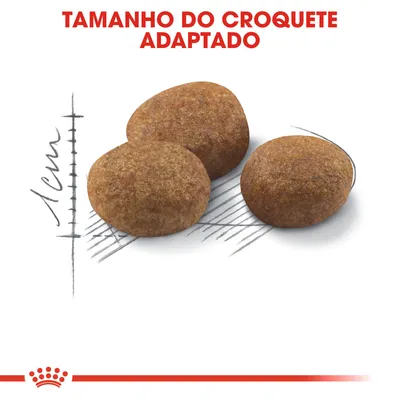 Três croquetes de ração com texto 'Tamanho do croquete adaptado' e escala desenhada a indicar 1 cm para referência de tamanho.