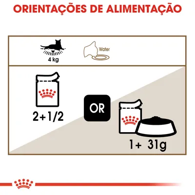 Orientações de alimentação para gato de 4 kg: 2 e 1/2 saquetas ou 1 saqueta mais 31 g de ração seca. Incluir água.