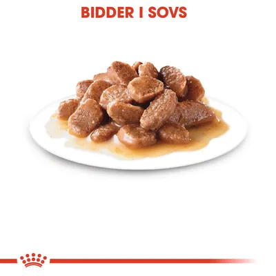 BIDDER I SOVS, brunlige stykker vådfoder på hvid tallerken med sovs. Teksten BIDDER I SOVS vises øverst i billedet.