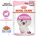 Royal Canin Kitten i gelé