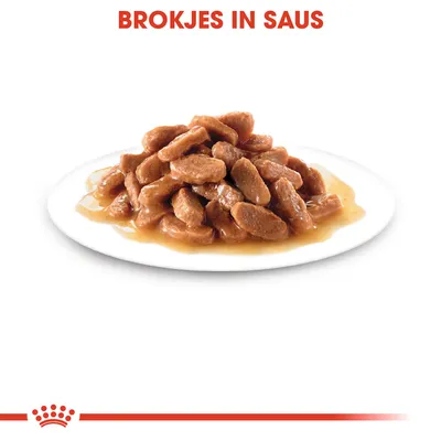 Brokjes in saus op een wit bord, tekst bovenaan: 'BROKJES IN SAUS'.