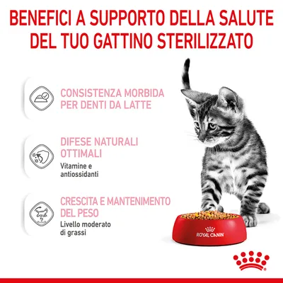 Benefici per gattino sterilizzato: consistenza morbida per denti da latte, difese naturali ottimali con vitamine e antiossidanti, crescita e mantenimento del peso, Royal Canin.