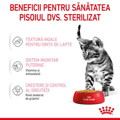 Beneficii pentru sănătatea pisoilor sterilizați: textură moale pentru dinții de lapte, sistem imunitar puternic cu vitamine și antioxidanți, creștere și control al greutății, Royal Canin.