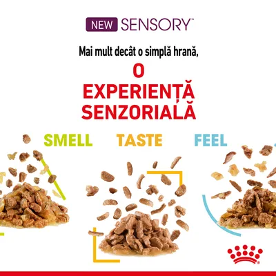 Royal Canin Sensory Feel în gelatină