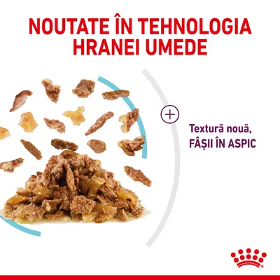 Royal Canin Sensory Feel în gelatină