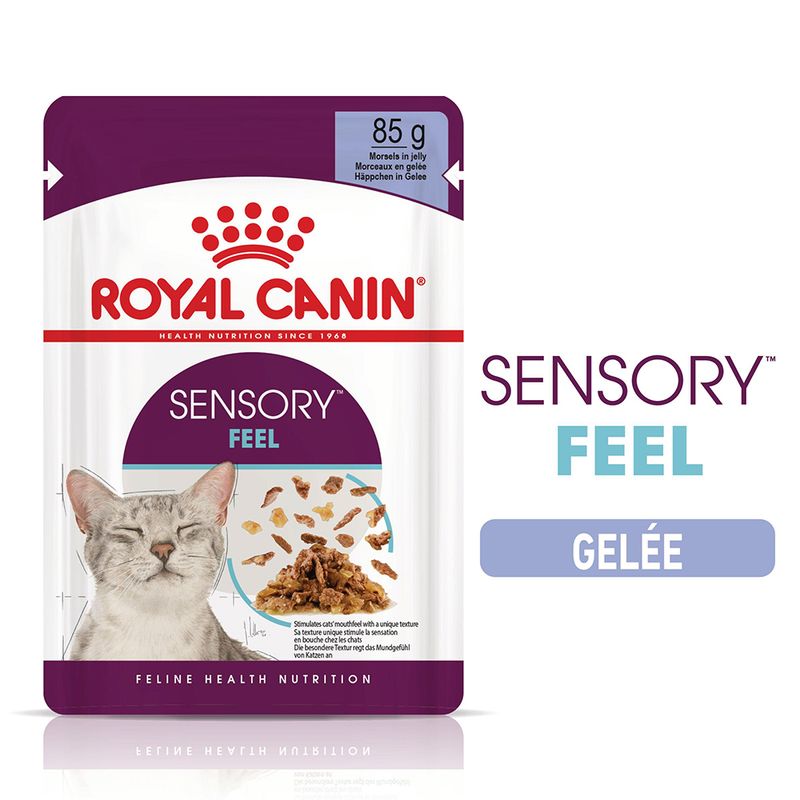 Royal Canin Sensory Feel en gelée pour chat