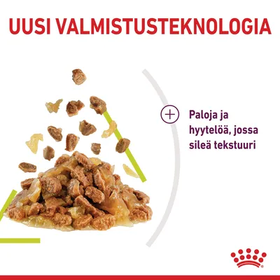Uusi valmistusteknologia. Paloja ja hyytelöä, jossa sileä tekstuuri.