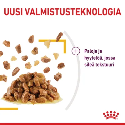 Royal Canin Sensory Taste hyytelössä