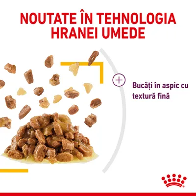 Royal Canin Sensory Taste în gelatină