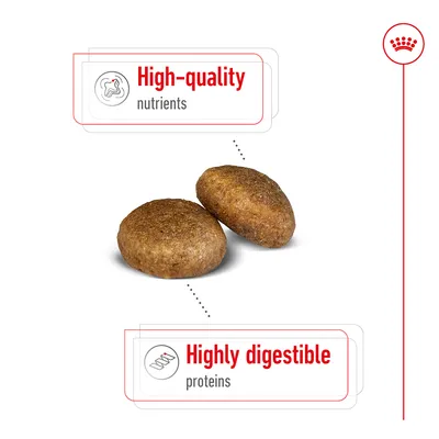 Two pieces of pet food with labels highlighting high-quality nutrients and highly digestible proteins.