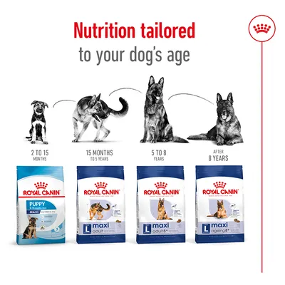 Feeding guide showing different Royal Canin products for dogs at ages 2-15 months, 15 months-5 years, 5-8 years, and after 8 years, with matching product images below each age group.